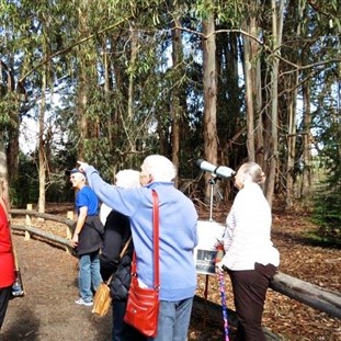 Monarch Butterfly Migration & Danish Solvang