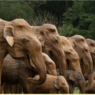 Great Elephant Migration - Priority Waitlist